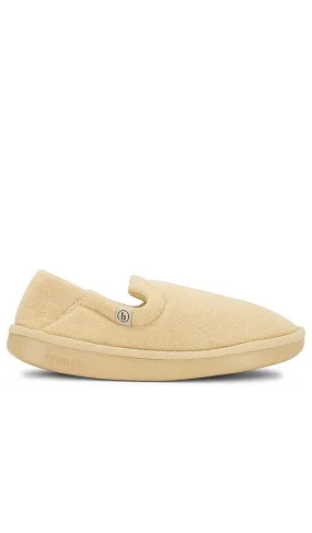 Brunch Le Explorer in Beige