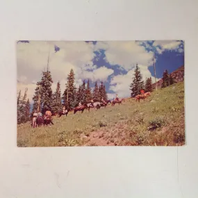 Vintage Mid Century Color Souvenir H S Crocker Postcard Horseback Trip in the Rockies Colorado